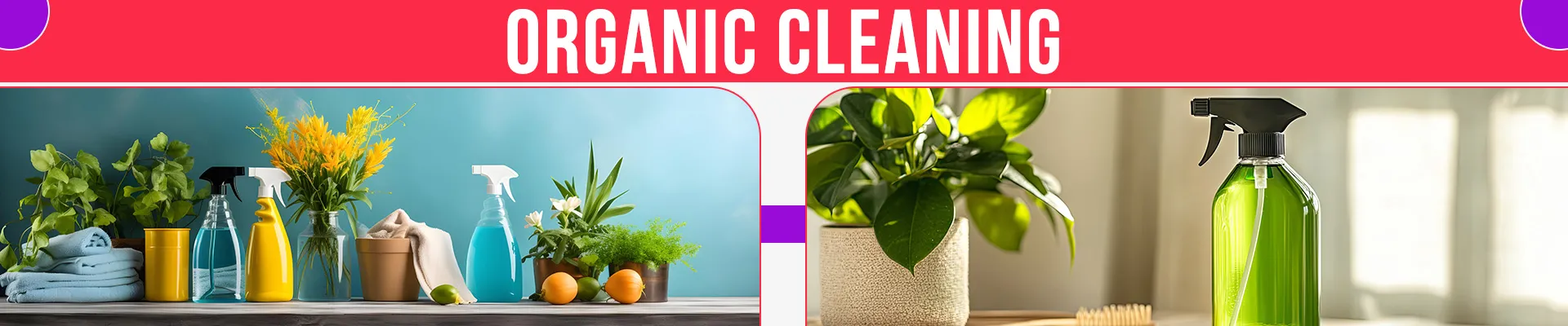 carpet cleaning in brooklyn, carpet cleaning in brooklyn, carpet cleaning brooklyn, carpet cleaners in brooklyn, carpet cleaners in brooklyn, commercial carpet cleaning, commercial carpet cleaning in brooklyn, brooklyn rug cleaners, rug cleaning services in brooklyn, same day carpet cleaning, same day rug cleaning