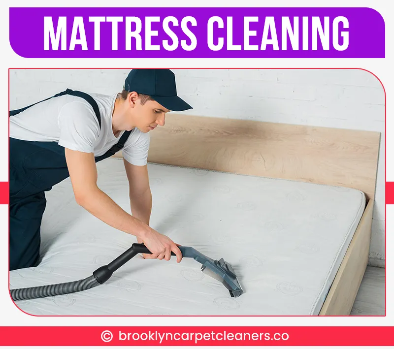 carpet cleaning in brooklyn, carpet cleaning in new york, carpet cleaning brooklyn, carpet cleaners in brooklyn, carpet cleaners in new york, commercial carpet cleaning, commercial carpet cleaning in brooklyn, brooklyn rug cleaners, rug cleaning services in brooklyn, same day carpet cleaning, same day rug cleaning